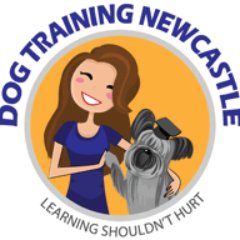 Dog harnesses, leads, treat bags, snuffle mats and snuffle balls for sale. One-hour-long, group lessons covering just one or two topics per session.