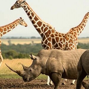 Alice5George's profile picture. 