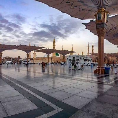 خُلقتُ حتّى أعبد الله ، وأرحل من دُنياكم ومعي زادي .. فاللهمّ حُسن الختام وأعمال صالحة حتّى ألقاكَ .. الإهتمام والشّغف المدينيّ يجري في عروقي ..🕊🕌