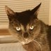 comazo - Heimatliebe (@comazo2) Twitter profile photo comazo - Heimatliebe (@comazo2) Twitter profile photo
