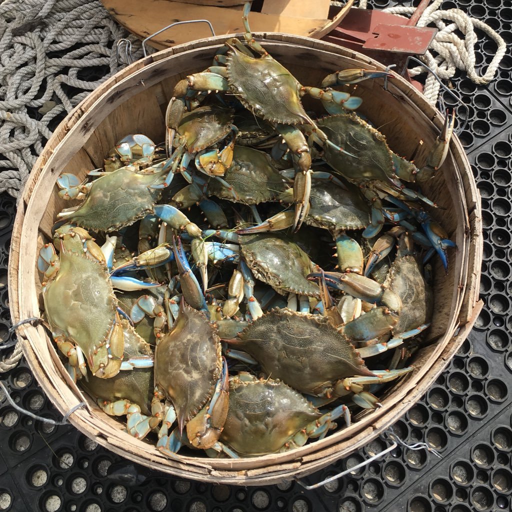 larrymetzmd's profile picture. 