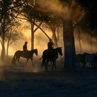 hgloc's profile picture. 