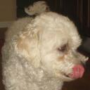 Alex Salter - @AxelCA - Twitter