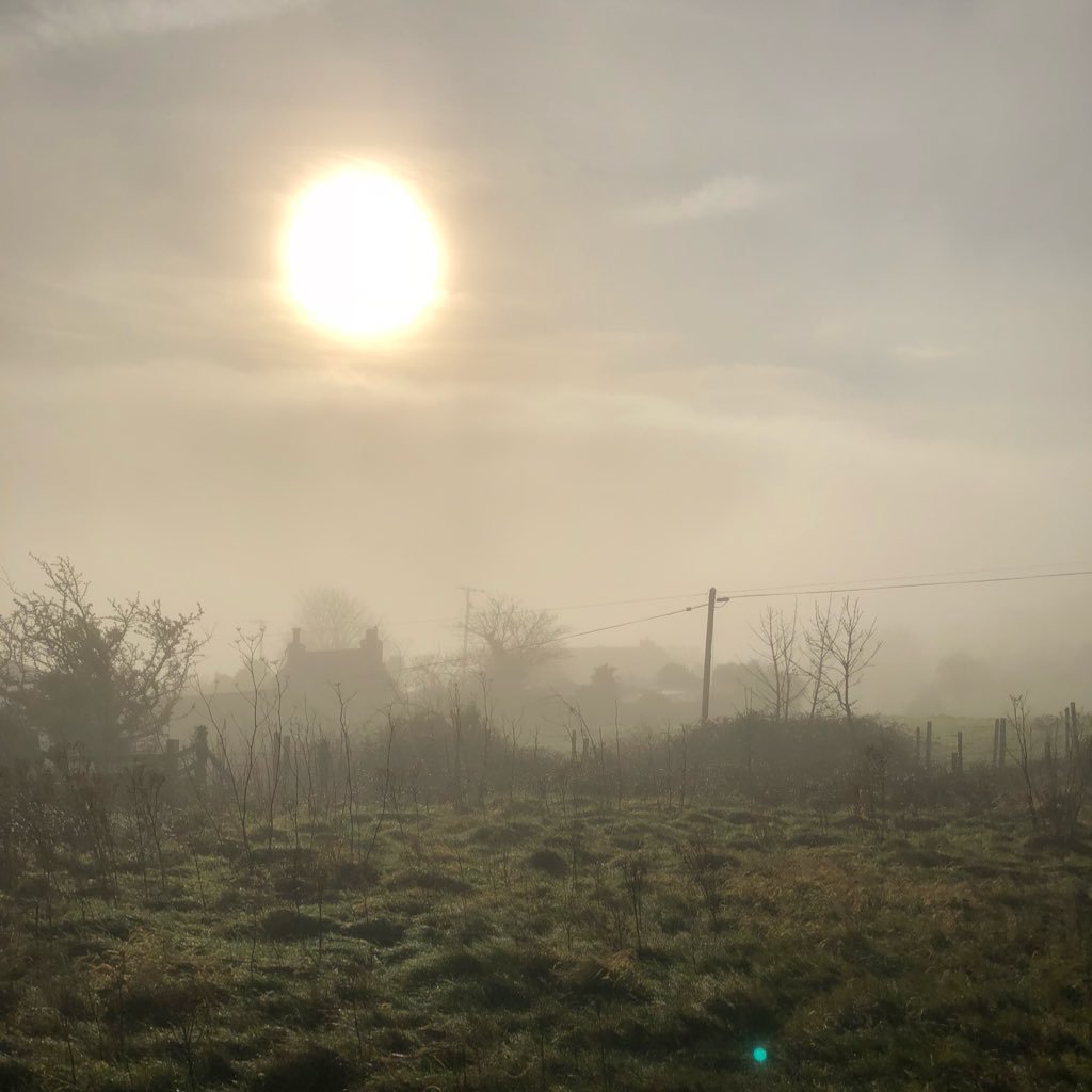 craiglwyd's profile picture. 