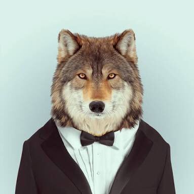 Lobo Feroz Voy Llegando A La Chimenea Estoy A Punto De Entrar Deseenme Suerte Amigos Lobos Y No Lobos