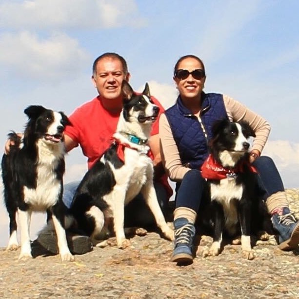 Vicenteibarra's profile picture. 