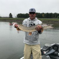 Art Bailey (@artbailey2) 's Twitter Profile Photo Art Bailey (@artbailey2) 's Twitter Profile Photo