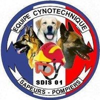 Groupe cynotechnique de l’Ain(@cyno01) 's Twitter Profile Photo