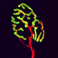 Jang Lab (@janglabgt) 's Twitter Profile