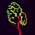 Jang Lab (@janglabgt) Twitter profile photo Jang Lab (@janglabgt) Twitter profile photo