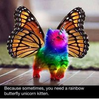 Bug4866 (@bug4866) 's Twitter Profile