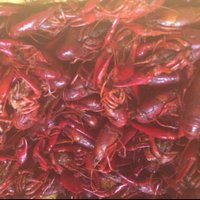 Honore's Cajun Cafe (@honorescajuncaf) 's Twitter Profile
