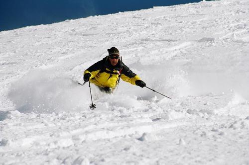 Tonyskidavos1's profile picture. 