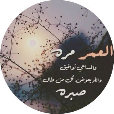 mohammadmutlaks's profile picture. 