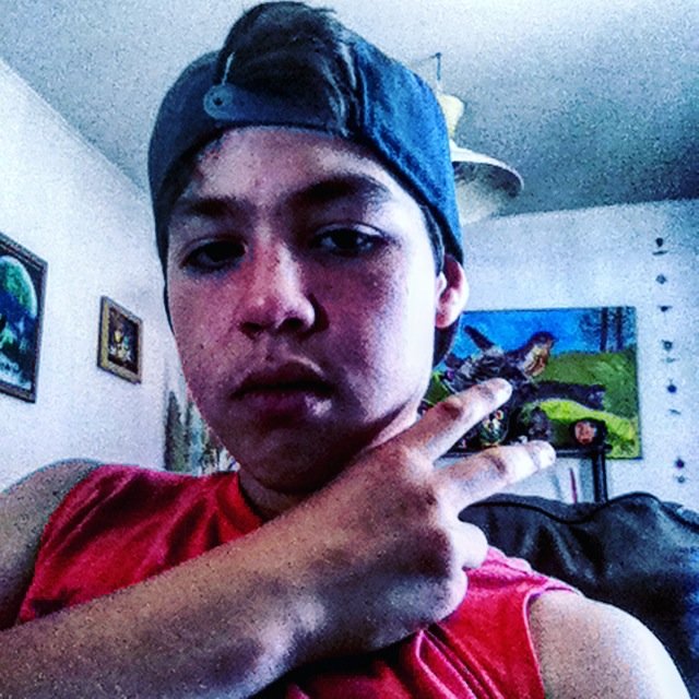 francisgamer31's profile picture. 