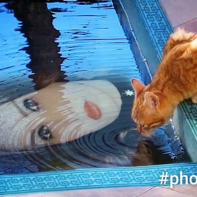 Maria79684885's profile picture. 