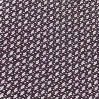 miyazwash's profile picture. In Bruge