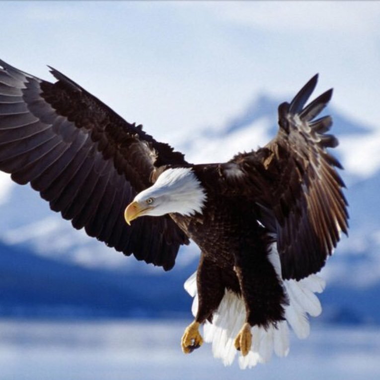 chan_vattanac's profile picture. We feature the most amazing and breathtaking place on earth, wired art and business directory.