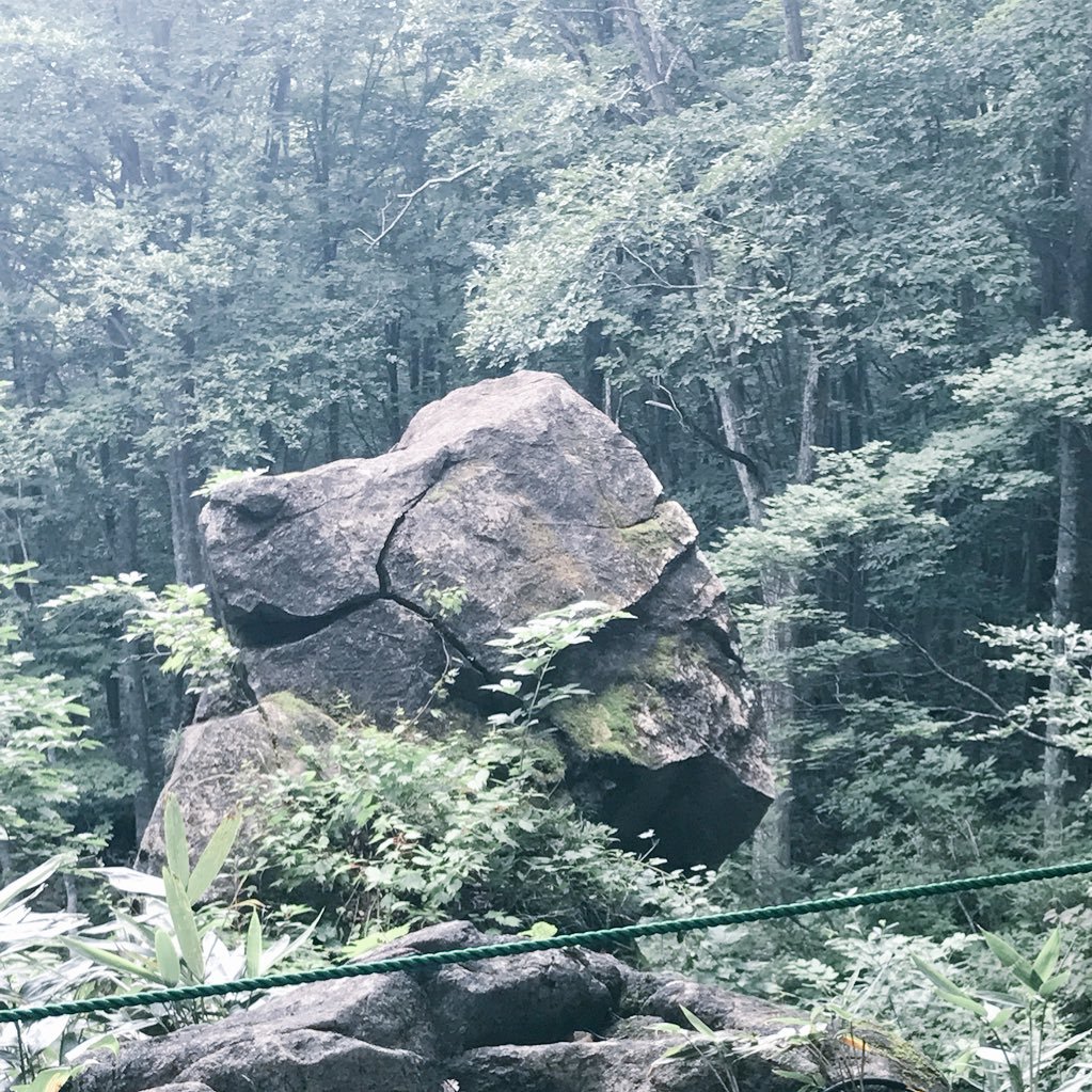 minami_2636's profile picture. 無言のフォロー失礼しますm(_ _)m 息子、春から大学生