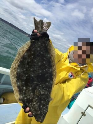 holoyoits's profile picture. 休日は  釣れた魚を 鮨屋に持ち込む ほろ酔い釣師。