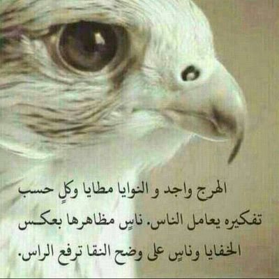 hhhhhhhfdc's profile picture. ااااا