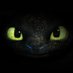 DragonsSquad (@dragonssquadfan) Twitter profile photo DragonsSquad (@dragonssquadfan) Twitter profile photo