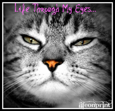 LifeThrwMyEyes's profile picture. Welcome to Life Through My Eyes With The Help Of A Zoom Lens. It's life! Rants,Raves, Reviews, Giveaways, and a bit of me-isms!