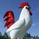 Vincent House - @largeroosters - Twitter