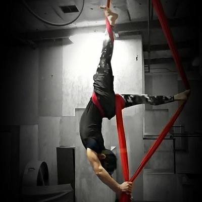 willischinn's profile picture. Desk Jockey by day; Aerial Silk artist by night.