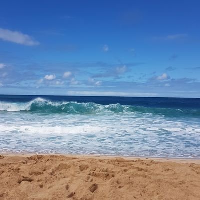 David06321868's profile picture. 