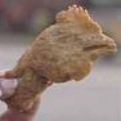 apodacacakalaka's profile picture. 