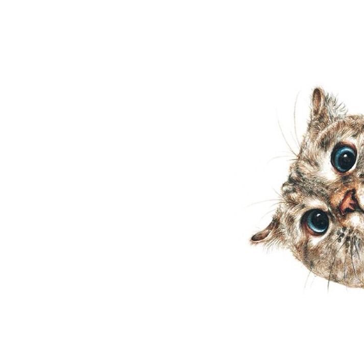 julia_nordeneng's profile picture. 