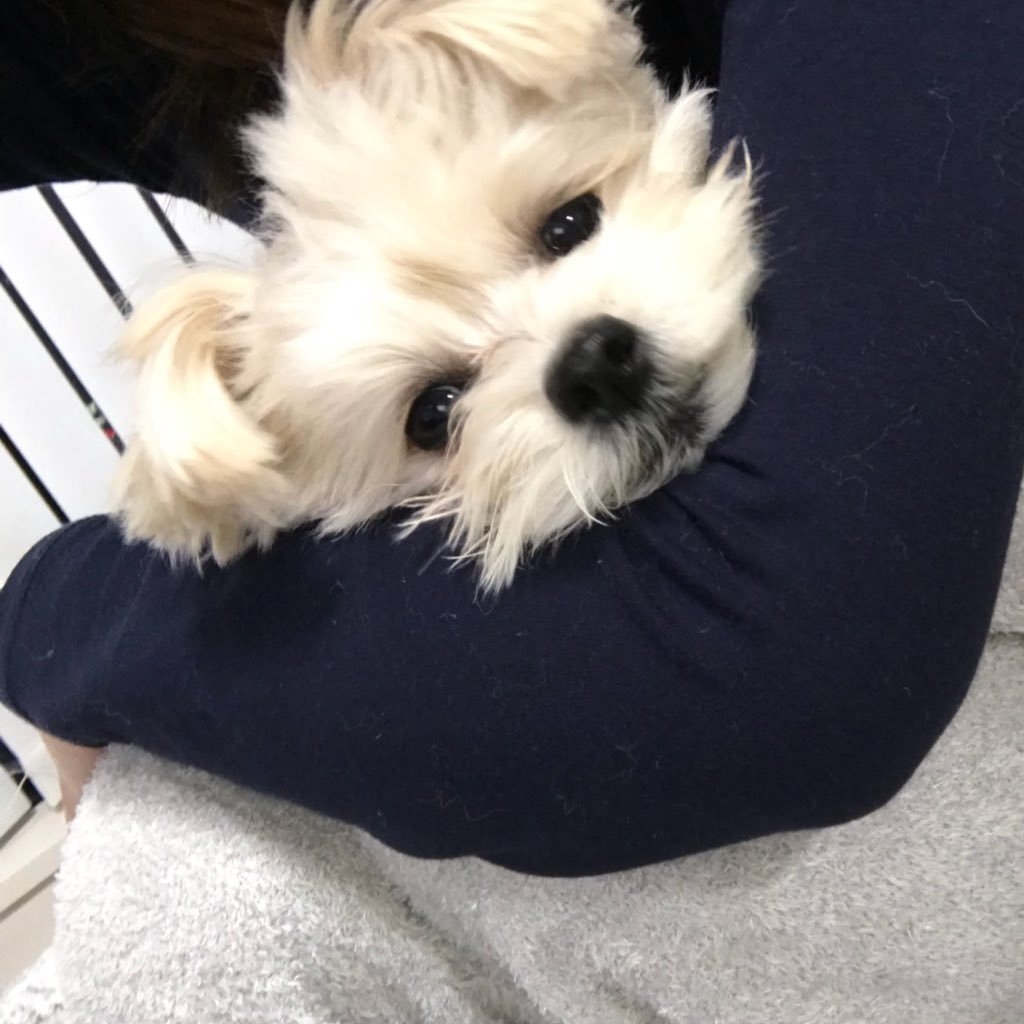 nachipopo420's profile picture. private time!!🔑