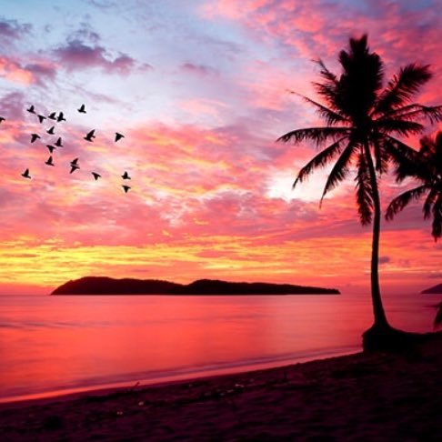 Lifequotesforw1's profile picture. Be Strong 💪🏻 Be Free 🦋 Be You ☘️