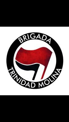 Brigada Trinidad Molina, organización que combate el fascismo en Ciudad Real. El fascismo avanza si no se le combate!