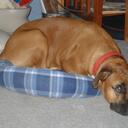 KIMBERLY MARKER - @iowa62 - Twitter