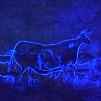 free radical (@eishow_r) 's Twitter Profile Photo