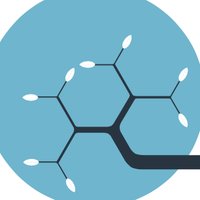 Cercle Vulnérabilités & Société (@cerclevs) 's Twitter Profile