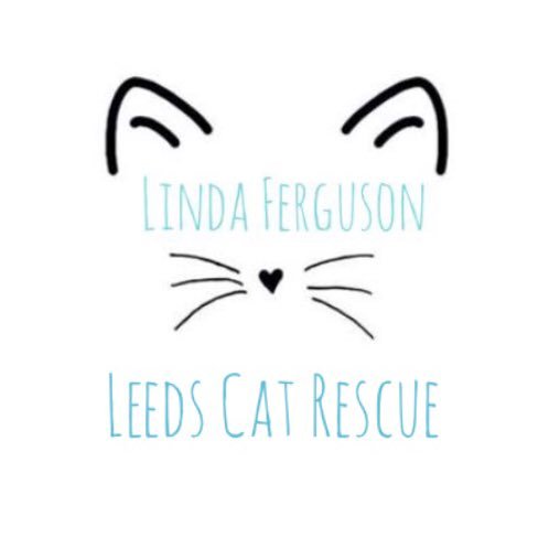 Linda Ferguson Leeds Cat Rescue Profile