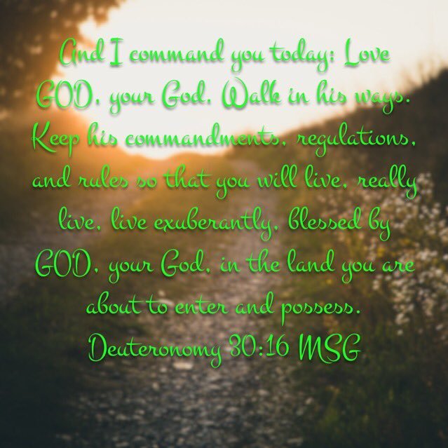 Fins4Legs's profile picture. These thoughts are my own.