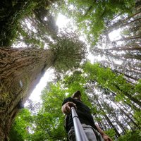 Miklós Bertalan (@solkimicreb1) 's Twitter Profile Photo