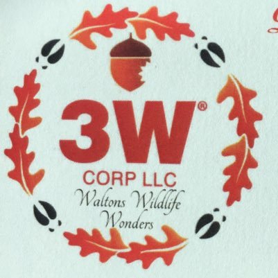Waltonswildlif1's profile picture. Artist Dan Walton combines his love of the outdoors, his history in taxidermy, and his artistic precision to create unbelievable products.