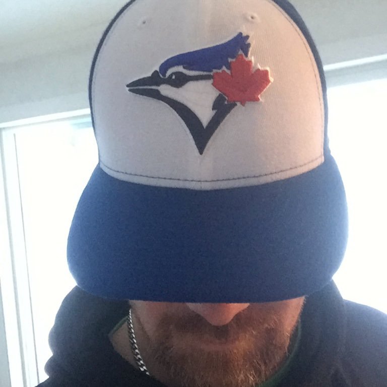 Blue Jays fan