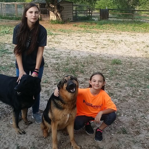 trmontgo's profile picture. mother of 8 plus 2.....