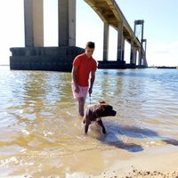 JOSE GUEVARA (@cachaa1997) 's Twitter Profile