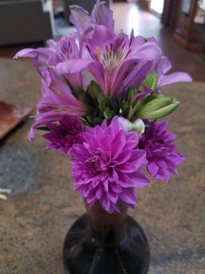 Wife, mom, scientist on an extended sabbatical, gardening enthusiast, political news junkie