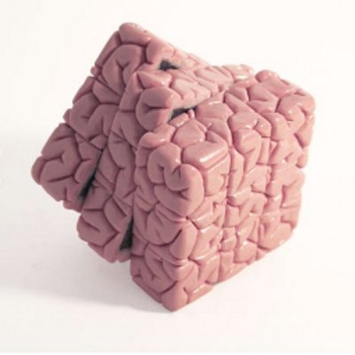interested in computers and brains, data and networks