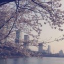 Mzoon_0 (@0Mzoon1) Twitter