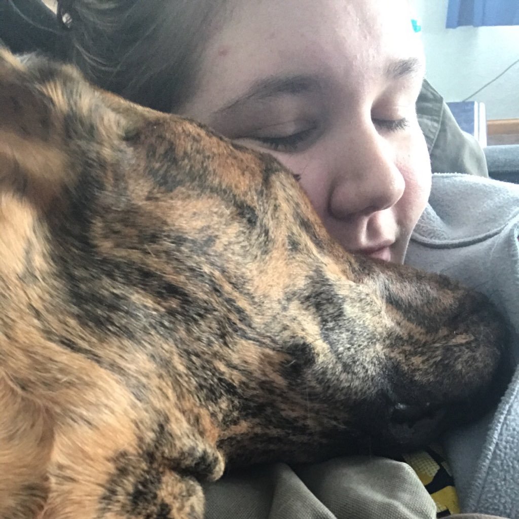 michaelamayy31's profile picture. 