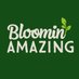 Bloomin Amazing β’ (@bloominamazing) Twitter profile photo Bloomin Amazing β’ (@bloominamazing) Twitter profile photo